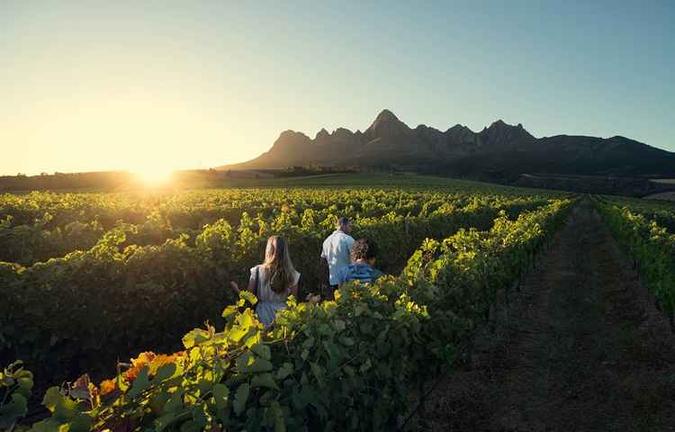 Há passeios guiados para vinícolas tradicionais, alguns até em carros antigos: imperdível(foto: South African Tourism/Divulgação) Há passeios guiados para vinícolas tradicionais, alguns até em carros antigos: imperdível(foto: South African Tourism/Divulgação)