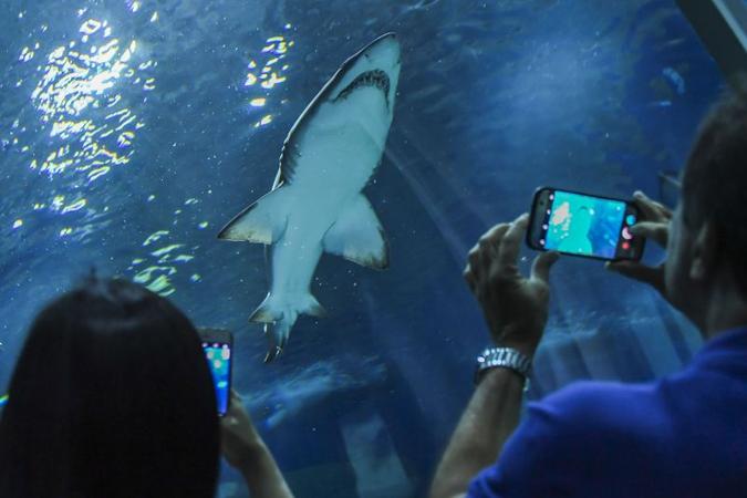 (foto: Apu Gomes/AFP) (foto: Apu Gomes/AFP)