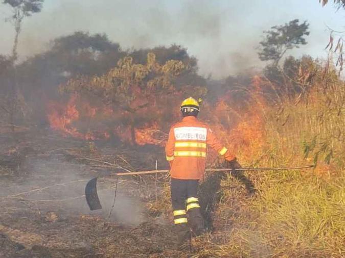 Em 24 horas, entre sexta e sábado, área queimada no DF chegou a extensão equivalente a 251 campos de futebol(foto: CBMDF/Divulgação ) Em 24 horas, entre sexta e sábado, área queimada no DF chegou a extensão equivalente a 251 campos de futebol(foto: CBMDF/Divulgação )