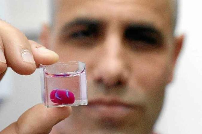 O professor Tal Dvir, líder da equipe de pesquisa, exibe o pequeno órgão, do tamanho de uma cereja O professor Tal Dvir, líder da equipe de pesquisa, exibe o pequeno órgão, do tamanho de uma cereja