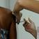 Vacinas remanescentes contra gripe est�o dispon�veis para toda a popula��o