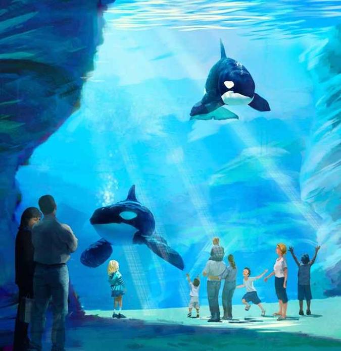 (foto: SeaWorld/Divulgação) (foto: SeaWorld/Divulgação)