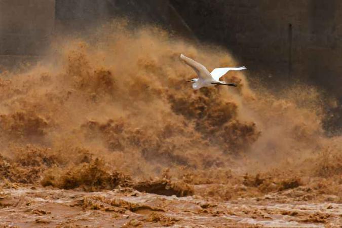Tragédia em MG deixou 19 mortos e dezenas de cidades na bacia do Rio Doce impactadas (foto: Instituto Últimos Refúgios/Divulgação) Tragédia em MG deixou 19 mortos e dezenas de cidades na bacia do Rio Doce impactadas (foto: Instituto Últimos Refúgios/Divulgação)