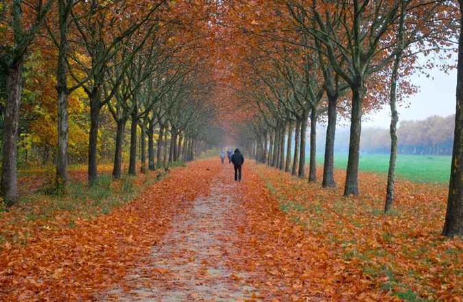 No Bois de Vincennes, o turista encontra muito verde(foto: Thanasis Geo/Flickr) No Bois de Vincennes, o turista encontra muito verde(foto: Thanasis Geo/Flickr)