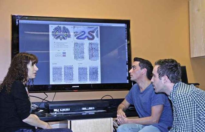Grupo de investigadores estudou regiões cerebrais ligadas a tarefas do dia a dia: o reconhecimento de rostos e lugares(foto: Brianna Jeska/Divulgação) Grupo de investigadores estudou regiões cerebrais ligadas a tarefas do dia a dia: o reconhecimento de rostos e lugares(foto: Brianna Jeska/Divulgação)