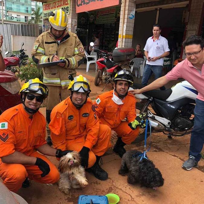 Os animais estavam com fome e com sede quando foram resgatados (foto: Divulgação: Corpo de Bombeiros) Os animais estavam com fome e com sede quando foram resgatados (foto: Divulgação: Corpo de Bombeiros)