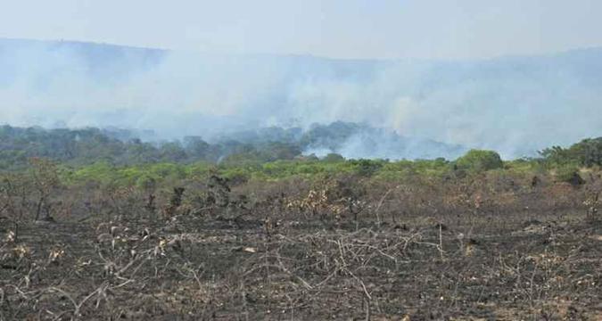 Cenário é de devastação no Chapada dos Veadeiros. Força-tarefa tenta controlar as chamas(foto: Breno Fortes/CB/D.A Press) Cenário é de devastação no Chapada dos Veadeiros. Força-tarefa tenta controlar as chamas(foto: Breno Fortes/CB/D.A Press)