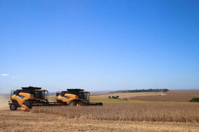 Conab e IBGE já reduziram em aproximadamente 3 milhões de toneladas as estimativas da produção de grãos para este ano(foto: Sérgio Zacchi/Divulgação) Conab e IBGE já reduziram em aproximadamente 3 milhões de toneladas as estimativas da produção de grãos para este ano(foto: Sérgio Zacchi/Divulgação)