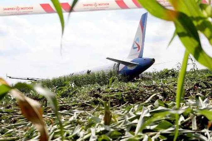 Avião Ural Airlines fez pouso forçado em um campo de milho perto do aeroporto de Zhukovsky, em Moscou(foto: Andrei Nikerichev/AFP) Avião Ural Airlines fez pouso forçado em um campo de milho perto do aeroporto de Zhukovsky, em Moscou(foto: Andrei Nikerichev/AFP)