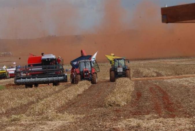 Safra de cereais, leguminosas e oleaginosas deve fechar 2018 com 227,2 milhões de toneladas contra 240,6 milhões do ano passado(foto: Arquivo/Agência Brasil ) Safra de cereais, leguminosas e oleaginosas deve fechar 2018 com 227,2 milhões de toneladas contra 240,6 milhões do ano passado(foto: Arquivo/Agência Brasil )