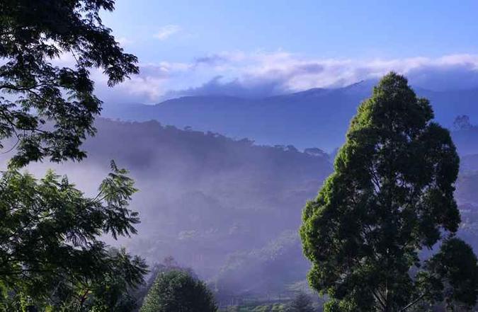 (foto: Gilson Prado/Wikimedia Commons) (foto: Gilson Prado/Wikimedia Commons)