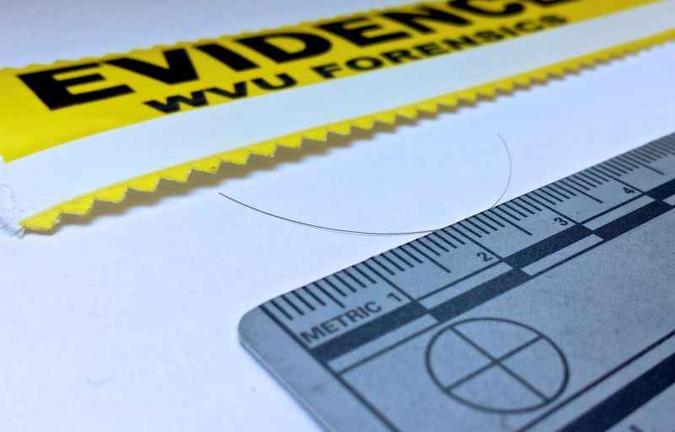 O exame poderá fornecer informações como os hábitos de um criminoso (foto: Glen P. Jackson, Ph.D/Divulgação ) O exame poderá fornecer informações como os hábitos de um criminoso (foto: Glen P. Jackson, Ph.D/Divulgação )