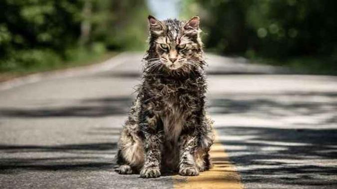 Usado para enterrar animais, cemitério guarda outros mistérios(foto: Paramount/Divulgação) Usado para enterrar animais, cemitério guarda outros mistérios(foto: Paramount/Divulgação)