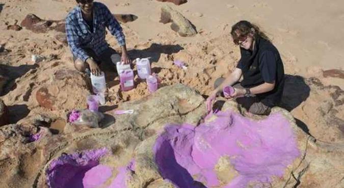 Cientistas criam molde de silicone na pegada de um dinossauro. Grupo de pesquisadores identificou 150 pegadas de 21 espécies de dinossauros em uma área do noroeste da Austrália(foto: Steven W. Salisbury / EFE) Cientistas criam molde de silicone na pegada de um dinossauro. Grupo de pesquisadores identificou 150 pegadas de 21 espécies de dinossauros em uma área do noroeste da Austrália(foto: Steven W. Salisbury / EFE)