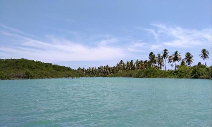 O rio Tatuamunha, destino de um dos passeios de jangada e local onde é realizado o trabalho de reintrodução do peixe-boi marinho no habitat(foto: Leonardo Meireles) O rio Tatuamunha, destino de um dos passeios de jangada e local onde é realizado o trabalho de reintrodução do peixe-boi marinho no habitat(foto: Leonardo Meireles)