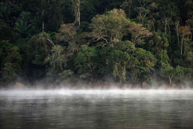 A Amazônia brasileira é uma das áreas do planeta com maior índice de conflitos por razões ambientais(foto: Yasuyoshi Chiba/AFP) A Amazônia brasileira é uma das áreas do planeta com maior índice de conflitos por razões ambientais(foto: Yasuyoshi Chiba/AFP)