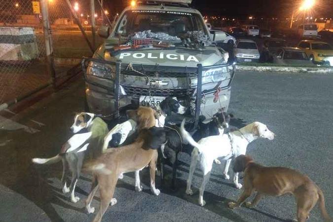 Cães estavam dentro de um Fiat Strada(foto: Polícia Militar/Divulgação) Cães estavam dentro de um Fiat Strada(foto: Polícia Militar/Divulgação)