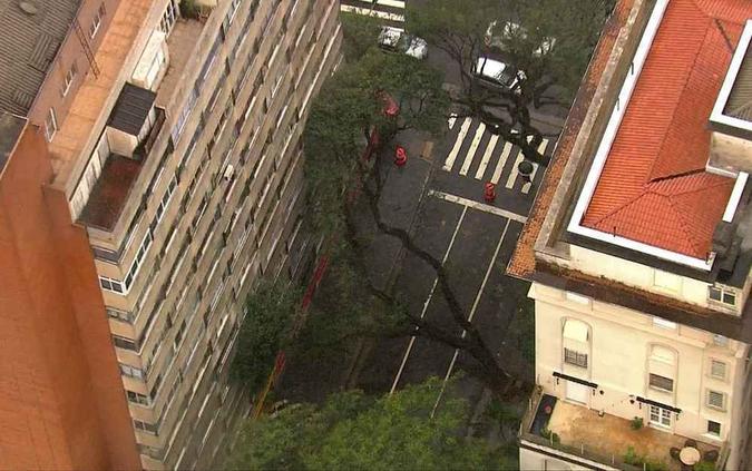 Árvore caiu em rua de Higienópolis, região central de São Paulo (foto: Reprodução/TV Globo ) Árvore caiu em rua de Higienópolis, região central de São Paulo (foto: Reprodução/TV Globo )