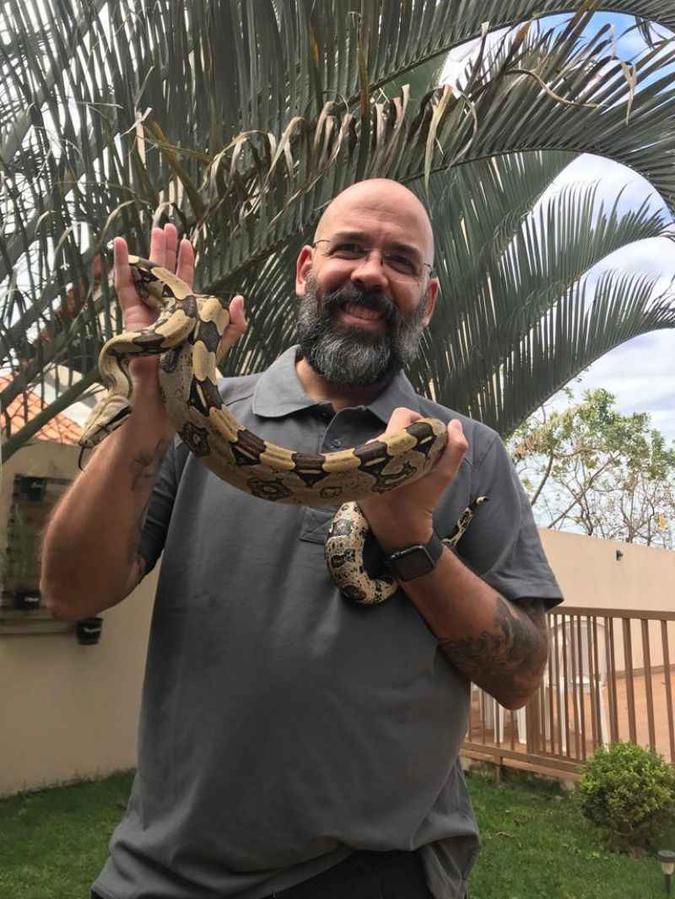 Fernando Evaristo Regal cria três jiboias em casa: Ubaldo, Saramago e Capitu(foto: Arquivo pessoal) Fernando Evaristo Regal cria três jiboias em casa: Ubaldo, Saramago e Capitu(foto: Arquivo pessoal)