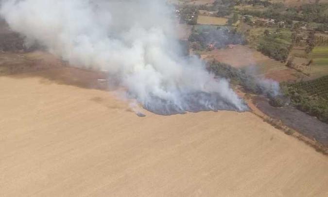 De 1ª de janeiro a 10 de setembro mais de 8 mil hectares foram queimados no DF(foto: CBMDF/Divulgação) De 1ª de janeiro a 10 de setembro mais de 8 mil hectares foram queimados no DF(foto: CBMDF/Divulgação)
