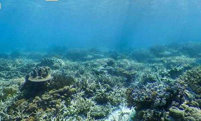 O excesso de CO2 torna os oceanos mais ácidos, ameaçando a vida de corais e peixes(foto: Google Maps/Divulgação) O excesso de CO2 torna os oceanos mais ácidos, ameaçando a vida de corais e peixes(foto: Google Maps/Divulgação)
