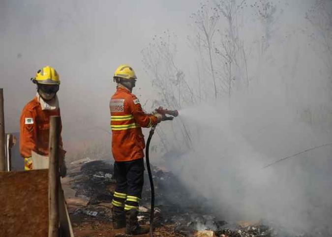Bombeiros apagam incêndio florestal próximo ao CCBB.(foto: Divulgação CBMDF.) Bombeiros apagam incêndio florestal próximo ao CCBB.(foto: Divulgação CBMDF.)