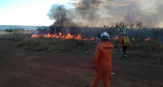 Aproximadamente 200 litros de água foram utilizados no combate às chamas(foto: CBMDF/Divulgação) Aproximadamente 200 litros de água foram utilizados no combate às chamas(foto: CBMDF/Divulgação)