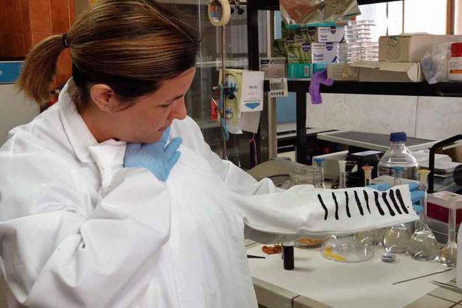 (foto: University of Malaga/Divulgação) (foto: University of Malaga/Divulgação)