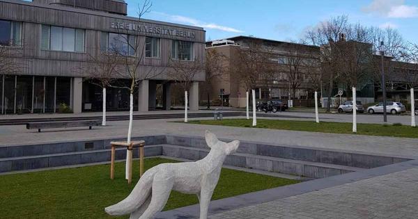 Universidades De Todo O Mundo Adotam Aulas On Line Durante A