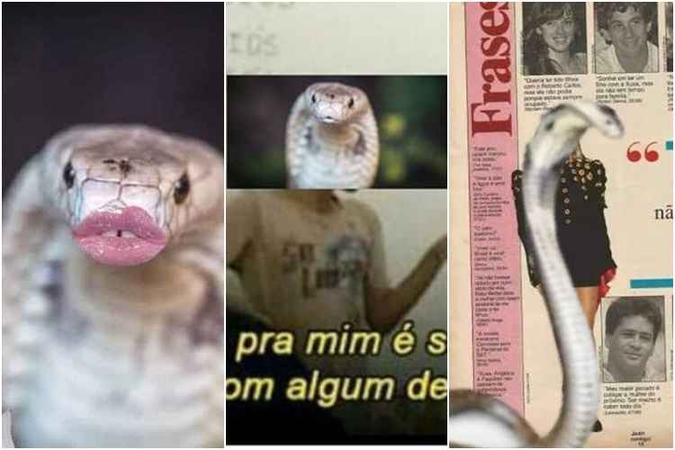 (foto: Reprodução/Twitter) (foto: Reprodução/Twitter)