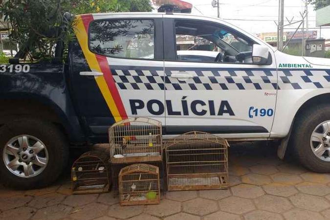 Aves apreendidas em cativeiro(foto: Polícia Militar/Divulgação) Aves apreendidas em cativeiro(foto: Polícia Militar/Divulgação)