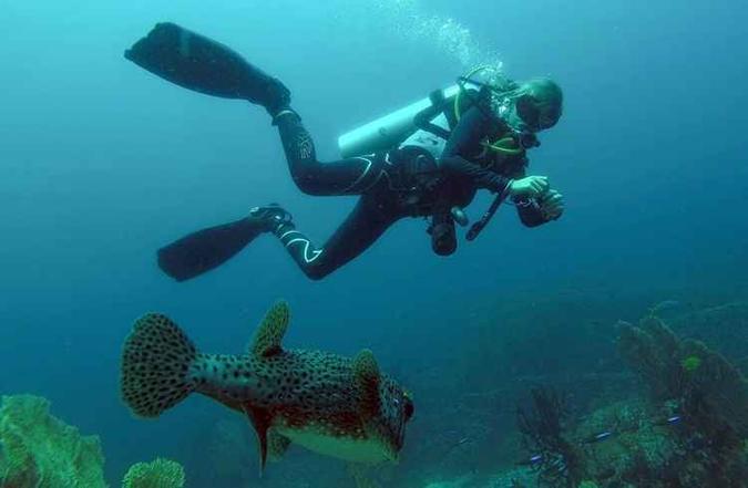 (foto: Khao Lak Scuba Adventures/Divulgação) (foto: Khao Lak Scuba Adventures/Divulgação)