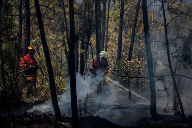Bombeiros em ação para apagar chamas que atingem florestas de Portugal(foto: Patrícia de Melo Moreira/AFP) Bombeiros em ação para apagar chamas que atingem florestas de Portugal(foto: Patrícia de Melo Moreira/AFP)