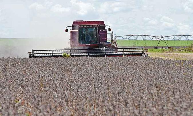 Brasil deve registrar em 2020 novos recordes na produção de soja(foto: Minervino Junior/CB/D.A Press ) Brasil deve registrar em 2020 novos recordes na produção de soja(foto: Minervino Junior/CB/D.A Press )