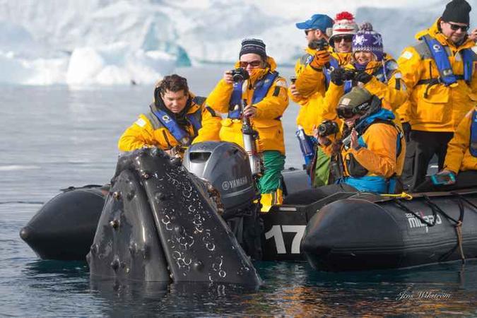 O passeio de barco é só um das diversas atividades que podem ser feitas no local(foto: Antarctica Expeditions/ Divulgação) O passeio de barco é só um das diversas atividades que podem ser feitas no local(foto: Antarctica Expeditions/ Divulgação)