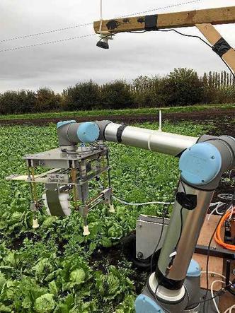 Testado em lavouras de diferentes tamanhos e sob condições climáticas diversas, o protótipo teve bons resultados(foto: Sarah Collins/Universidade de Cambridge) Testado em lavouras de diferentes tamanhos e sob condições climáticas diversas, o protótipo teve bons resultados(foto: Sarah Collins/Universidade de Cambridge)