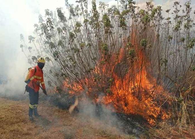 O fogo estava alto e provocou muita fumaça(foto: Divulgação CBMDF) O fogo estava alto e provocou muita fumaça(foto: Divulgação CBMDF)