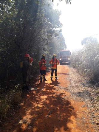 Ação de prevenção é necessária em épocas de seca(foto: Divulgação/CBMDF) Ação de prevenção é necessária em épocas de seca(foto: Divulgação/CBMDF)