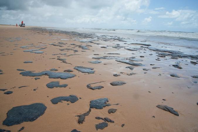 Samambaia pode ser usada no desenvolvimento de tecnologias que ajudem a conter esse tipo de desastre ambiental(foto: Marcos Rodrigues/Adema/Governo de Sergipe) Samambaia pode ser usada no desenvolvimento de tecnologias que ajudem a conter esse tipo de desastre ambiental(foto: Marcos Rodrigues/Adema/Governo de Sergipe)