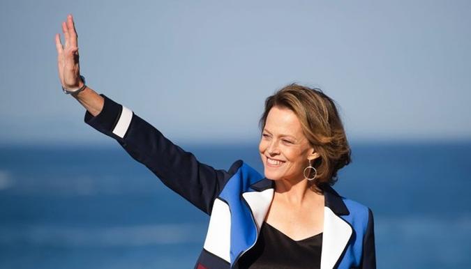(foto: ANDER GILLENEA) (foto: ANDER GILLENEA)