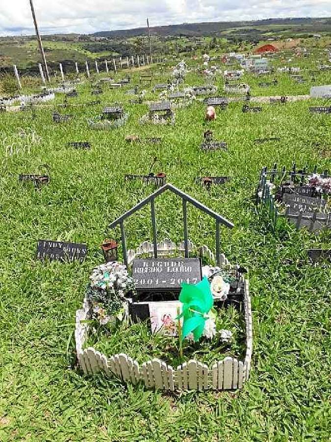 O jazigo de Bigode recebe os cuidados da tutora Sheila Ribeiro(foto: Arquivo pessoal)