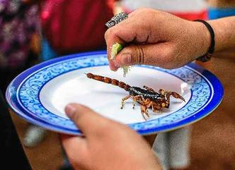 O escorpião e animais parecidos também podem evitar infecções(foto: Ronaldo Schemdt/AFP -10/6/18) O escorpião e animais parecidos também podem evitar infecções(foto: Ronaldo Schemdt/AFP -10/6/18)