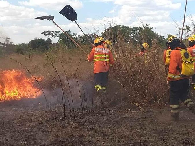Cerca de 40 militares atuam no combate ao incêndio (foto: Corpo de Bombeiros / Divulgação) Cerca de 40 militares atuam no combate ao incêndio (foto: Corpo de Bombeiros / Divulgação)