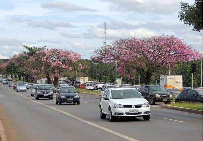 A mudança ocorrerá desde 0h até as 23h59(foto: Breno Fortes/CB/D.A Press) A mudança ocorrerá desde 0h até as 23h59(foto: Breno Fortes/CB/D.A Press)