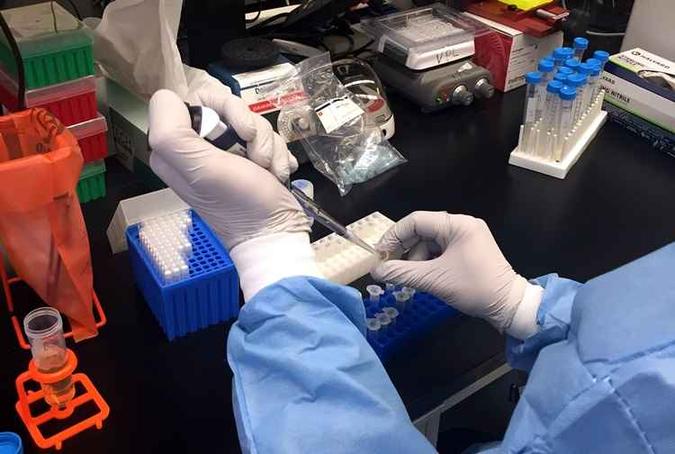 (foto: NIAID/Divulga��o)