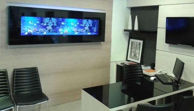 O modelo de parede ajuda a economizar espaço e pode substituir um quadro (foto: Reef Garden/Divulgação) O modelo de parede ajuda a economizar espaço e pode substituir um quadro (foto: Reef Garden/Divulgação)