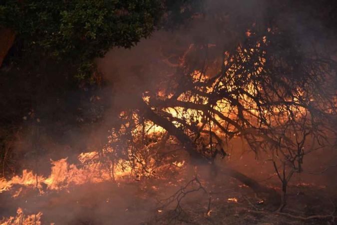 O incêndio que devasta a Califórnia, nos Estados Unidos, já matou 31 pessoas. Outras 400 estão desaparecidasJustin Sullivan/Getty Images/AFP O incêndio que devasta a Califórnia, nos Estados Unidos, já matou 31 pessoas. Outras 400 estão desaparecidasJustin Sullivan/Getty Images/AFP