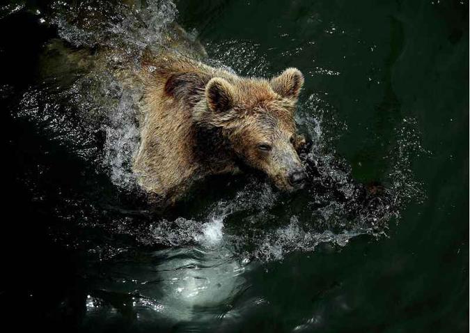 (foto: AFP) (foto: AFP)