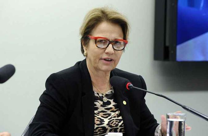 (foto: Agência Câmara) (foto: Agência Câmara)