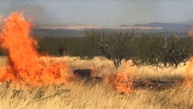 (foto: AFP PHOTO / US Forest Service) (foto: AFP PHOTO / US Forest Service)